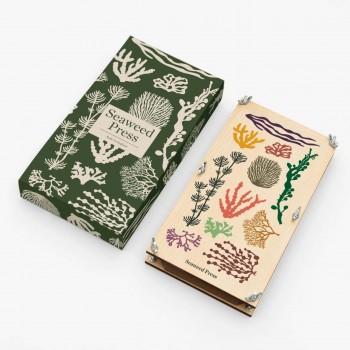 Seaweed Packaging Boxes