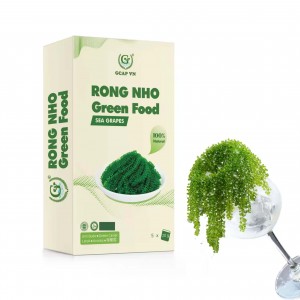 Seaweed Packaging Boxes